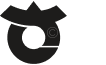 Icône